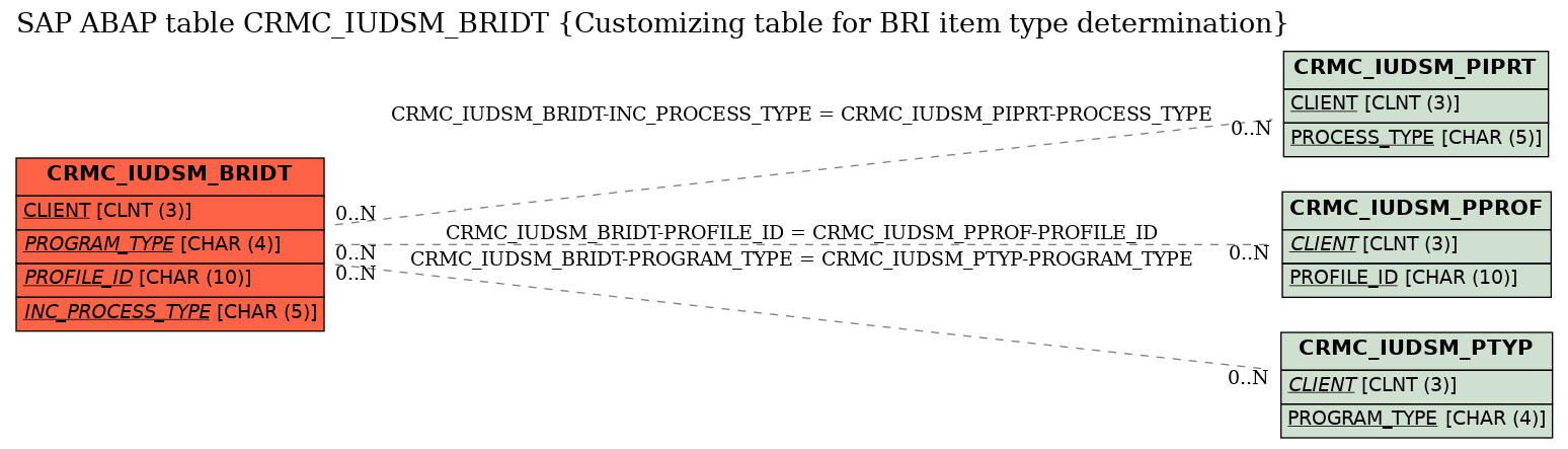 E-R Diagram for table CRMC_IUDSM_BRIDT (Customizing table for BRI item type determination)