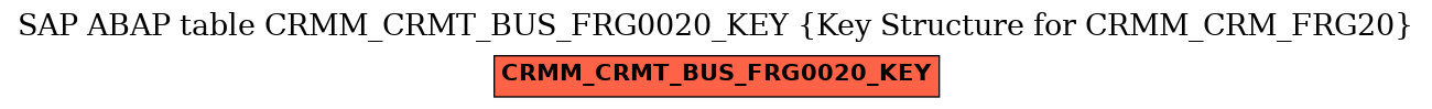 E-R Diagram for table CRMM_CRMT_BUS_FRG0020_KEY (Key Structure for CRMM_CRM_FRG20)
