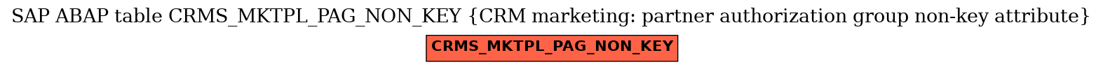 E-R Diagram for table CRMS_MKTPL_PAG_NON_KEY (CRM marketing: partner authorization group non-key attribute)