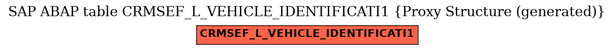 E-R Diagram for table CRMSEF_L_VEHICLE_IDENTIFICATI1 (Proxy Structure (generated))