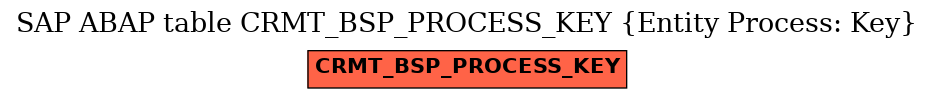 E-R Diagram for table CRMT_BSP_PROCESS_KEY (Entity Process: Key)