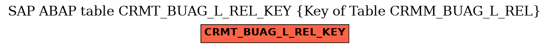 E-R Diagram for table CRMT_BUAG_L_REL_KEY (Key of Table CRMM_BUAG_L_REL)