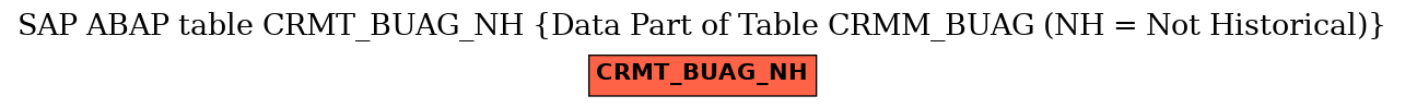 E-R Diagram for table CRMT_BUAG_NH (Data Part of Table CRMM_BUAG (NH = Not Historical))