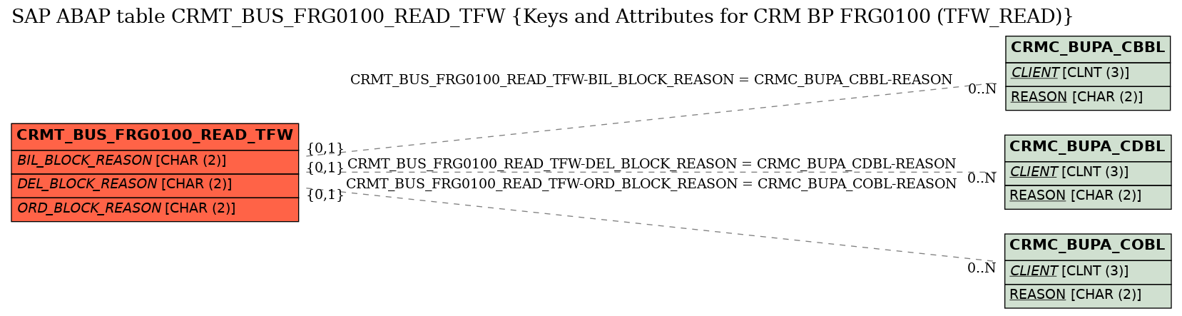 E-R Diagram for table CRMT_BUS_FRG0100_READ_TFW (Keys and Attributes for CRM BP FRG0100 (TFW_READ))