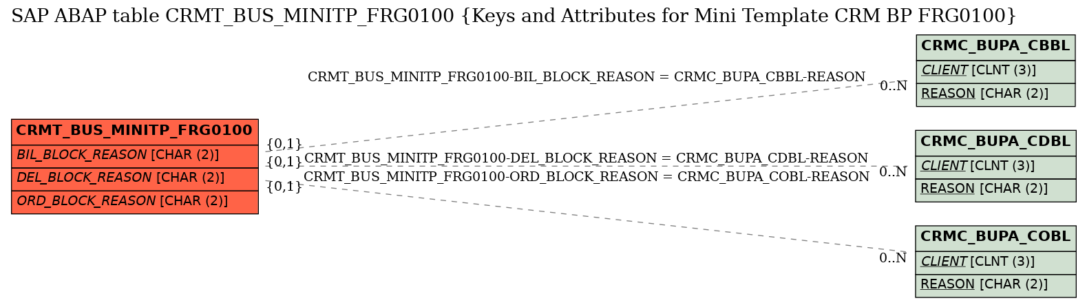 E-R Diagram for table CRMT_BUS_MINITP_FRG0100 (Keys and Attributes for Mini Template CRM BP FRG0100)