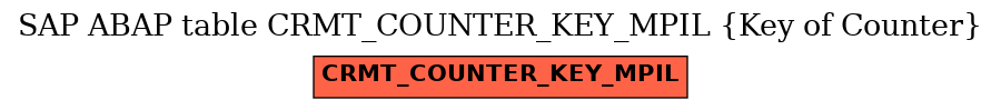 E-R Diagram for table CRMT_COUNTER_KEY_MPIL (Key of Counter)