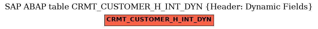E-R Diagram for table CRMT_CUSTOMER_H_INT_DYN (Header: Dynamic Fields)