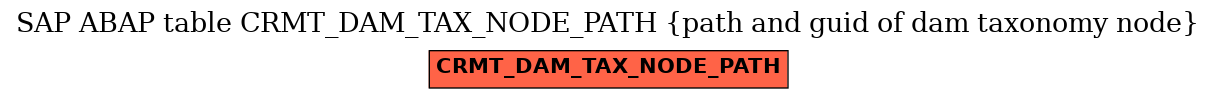 E-R Diagram for table CRMT_DAM_TAX_NODE_PATH (path and guid of dam taxonomy node)