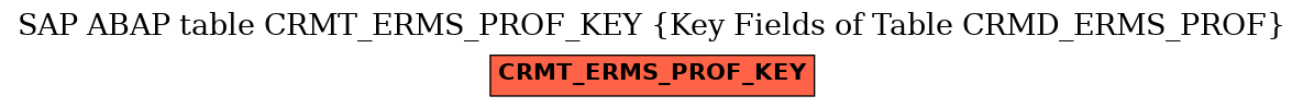 E-R Diagram for table CRMT_ERMS_PROF_KEY (Key Fields of Table CRMD_ERMS_PROF)