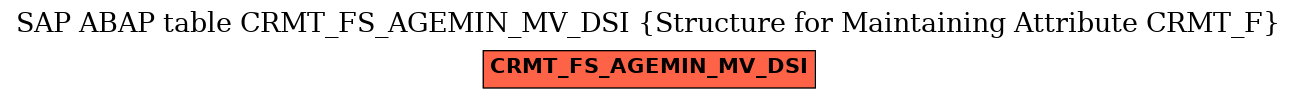 E-R Diagram for table CRMT_FS_AGEMIN_MV_DSI (Structure for Maintaining Attribute CRMT_F)