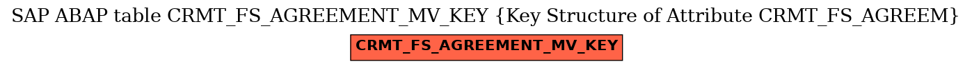 E-R Diagram for table CRMT_FS_AGREEMENT_MV_KEY (Key Structure of Attribute CRMT_FS_AGREEM)