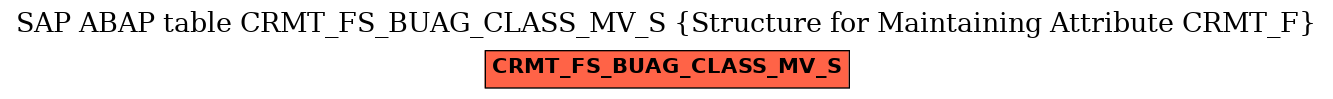 E-R Diagram for table CRMT_FS_BUAG_CLASS_MV_S (Structure for Maintaining Attribute CRMT_F)