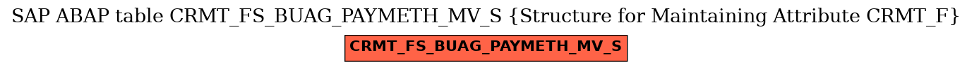 E-R Diagram for table CRMT_FS_BUAG_PAYMETH_MV_S (Structure for Maintaining Attribute CRMT_F)
