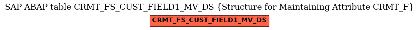 E-R Diagram for table CRMT_FS_CUST_FIELD1_MV_DS (Structure for Maintaining Attribute CRMT_F)