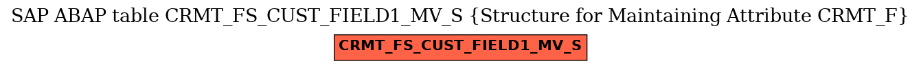 E-R Diagram for table CRMT_FS_CUST_FIELD1_MV_S (Structure for Maintaining Attribute CRMT_F)