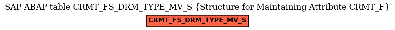 E-R Diagram for table CRMT_FS_DRM_TYPE_MV_S (Structure for Maintaining Attribute CRMT_F)