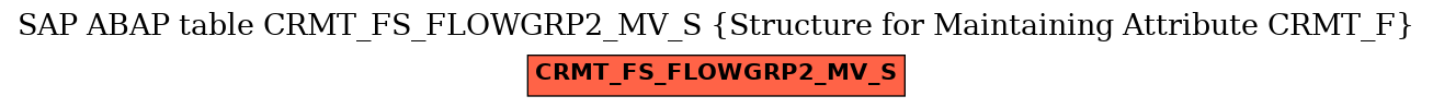 E-R Diagram for table CRMT_FS_FLOWGRP2_MV_S (Structure for Maintaining Attribute CRMT_F)