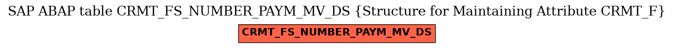 E-R Diagram for table CRMT_FS_NUMBER_PAYM_MV_DS (Structure for Maintaining Attribute CRMT_F)