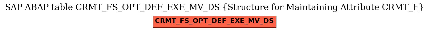 E-R Diagram for table CRMT_FS_OPT_DEF_EXE_MV_DS (Structure for Maintaining Attribute CRMT_F)