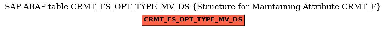 E-R Diagram for table CRMT_FS_OPT_TYPE_MV_DS (Structure for Maintaining Attribute CRMT_F)