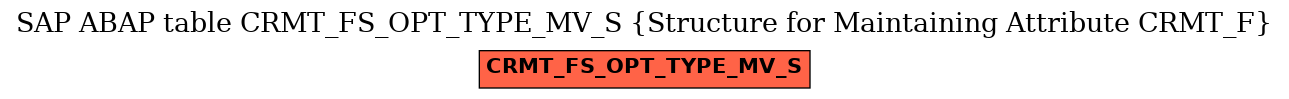 E-R Diagram for table CRMT_FS_OPT_TYPE_MV_S (Structure for Maintaining Attribute CRMT_F)