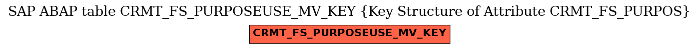 E-R Diagram for table CRMT_FS_PURPOSEUSE_MV_KEY (Key Structure of Attribute CRMT_FS_PURPOS)