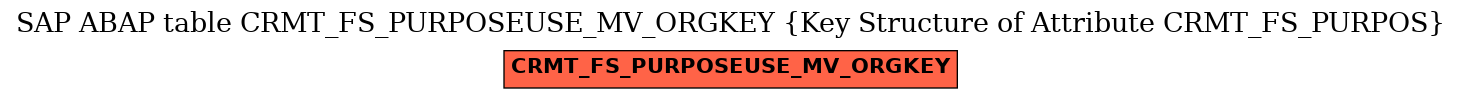 E-R Diagram for table CRMT_FS_PURPOSEUSE_MV_ORGKEY (Key Structure of Attribute CRMT_FS_PURPOS)