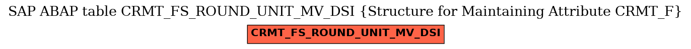 E-R Diagram for table CRMT_FS_ROUND_UNIT_MV_DSI (Structure for Maintaining Attribute CRMT_F)