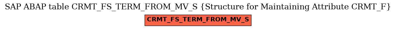 E-R Diagram for table CRMT_FS_TERM_FROM_MV_S (Structure for Maintaining Attribute CRMT_F)