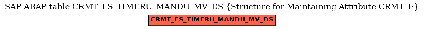 E-R Diagram for table CRMT_FS_TIMERU_MANDU_MV_DS (Structure for Maintaining Attribute CRMT_F)