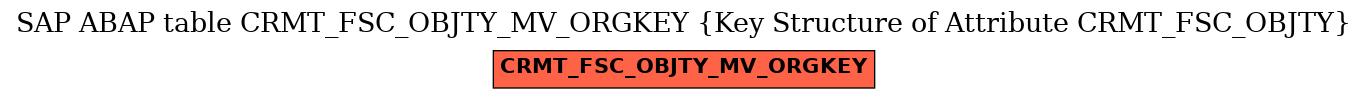E-R Diagram for table CRMT_FSC_OBJTY_MV_ORGKEY (Key Structure of Attribute CRMT_FSC_OBJTY)