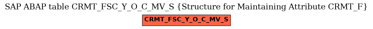 E-R Diagram for table CRMT_FSC_Y_O_C_MV_S (Structure for Maintaining Attribute CRMT_F)