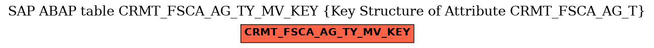 E-R Diagram for table CRMT_FSCA_AG_TY_MV_KEY (Key Structure of Attribute CRMT_FSCA_AG_T)