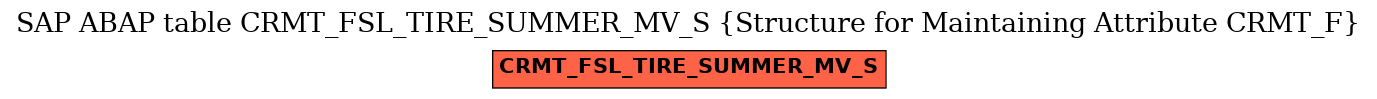 E-R Diagram for table CRMT_FSL_TIRE_SUMMER_MV_S (Structure for Maintaining Attribute CRMT_F)