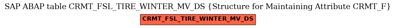 E-R Diagram for table CRMT_FSL_TIRE_WINTER_MV_DS (Structure for Maintaining Attribute CRMT_F)