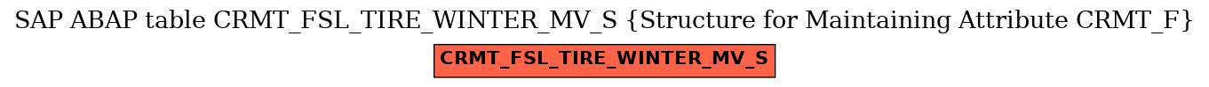 E-R Diagram for table CRMT_FSL_TIRE_WINTER_MV_S (Structure for Maintaining Attribute CRMT_F)