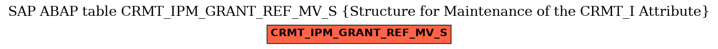 E-R Diagram for table CRMT_IPM_GRANT_REF_MV_S (Structure for Maintenance of the CRMT_I Attribute)