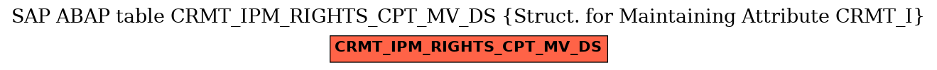 E-R Diagram for table CRMT_IPM_RIGHTS_CPT_MV_DS (Struct. for Maintaining Attribute CRMT_I)