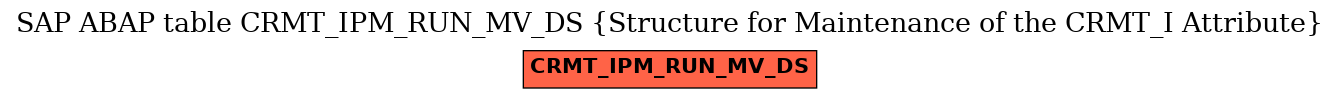 E-R Diagram for table CRMT_IPM_RUN_MV_DS (Structure for Maintenance of the CRMT_I Attribute)
