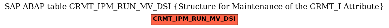 E-R Diagram for table CRMT_IPM_RUN_MV_DSI (Structure for Maintenance of the CRMT_I Attribute)