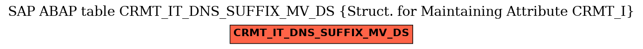 E-R Diagram for table CRMT_IT_DNS_SUFFIX_MV_DS (Struct. for Maintaining Attribute CRMT_I)