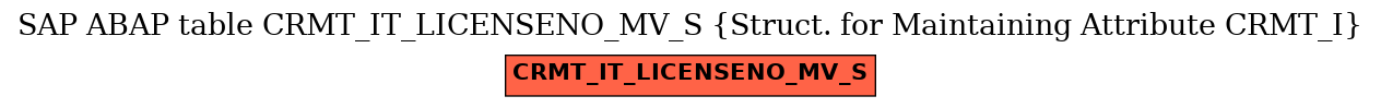 E-R Diagram for table CRMT_IT_LICENSENO_MV_S (Struct. for Maintaining Attribute CRMT_I)