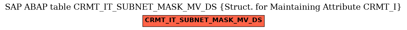 E-R Diagram for table CRMT_IT_SUBNET_MASK_MV_DS (Struct. for Maintaining Attribute CRMT_I)