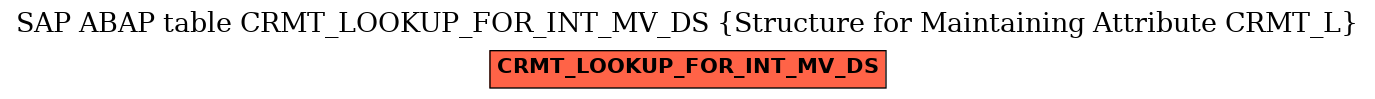 E-R Diagram for table CRMT_LOOKUP_FOR_INT_MV_DS (Structure for Maintaining Attribute CRMT_L)
