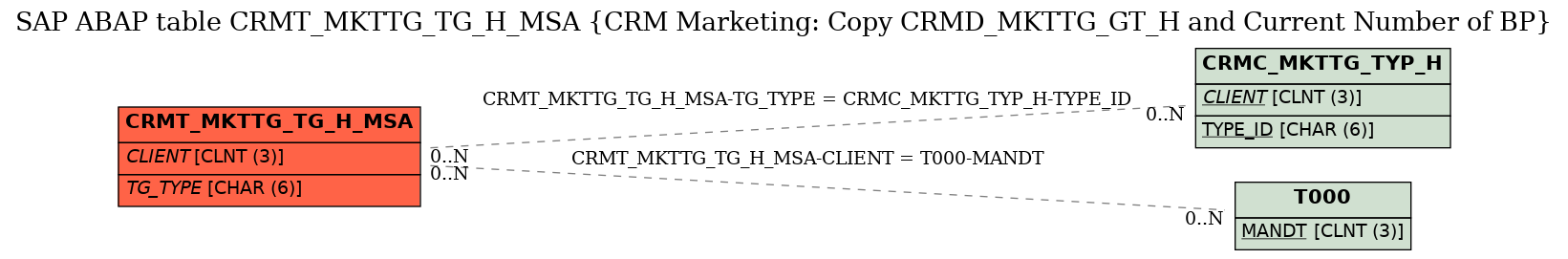 E-R Diagram for table CRMT_MKTTG_TG_H_MSA (CRM Marketing: Copy CRMD_MKTTG_GT_H and Current Number of BP)