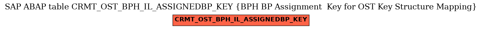 E-R Diagram for table CRMT_OST_BPH_IL_ASSIGNEDBP_KEY (BPH BP Assignment  Key for OST Key Structure Mapping)