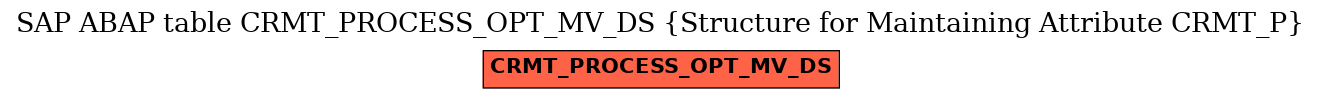 E-R Diagram for table CRMT_PROCESS_OPT_MV_DS (Structure for Maintaining Attribute CRMT_P)