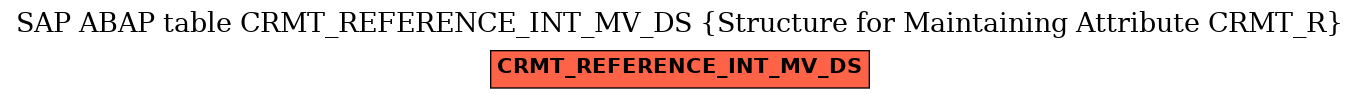E-R Diagram for table CRMT_REFERENCE_INT_MV_DS (Structure for Maintaining Attribute CRMT_R)
