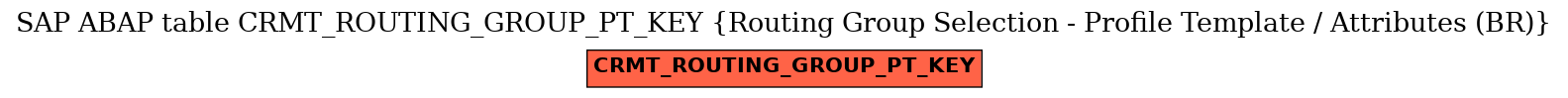 E-R Diagram for table CRMT_ROUTING_GROUP_PT_KEY (Routing Group Selection - Profile Template / Attributes (BR))