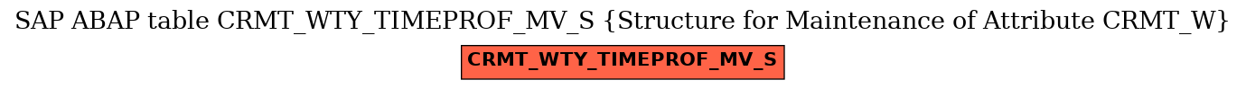 E-R Diagram for table CRMT_WTY_TIMEPROF_MV_S (Structure for Maintenance of Attribute CRMT_W)